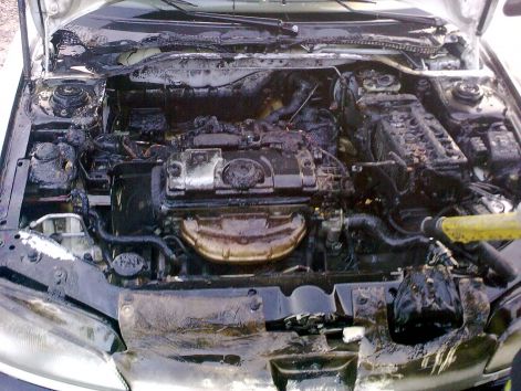 20100114551.jpg